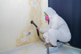 Best Residential Mold Inspection & Testing  in USA